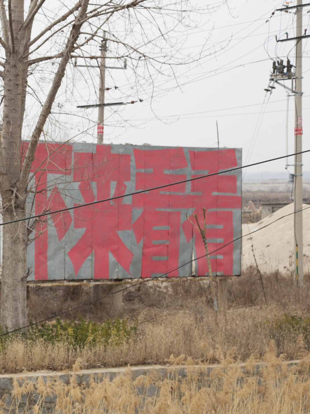 IMG_1676.PNG