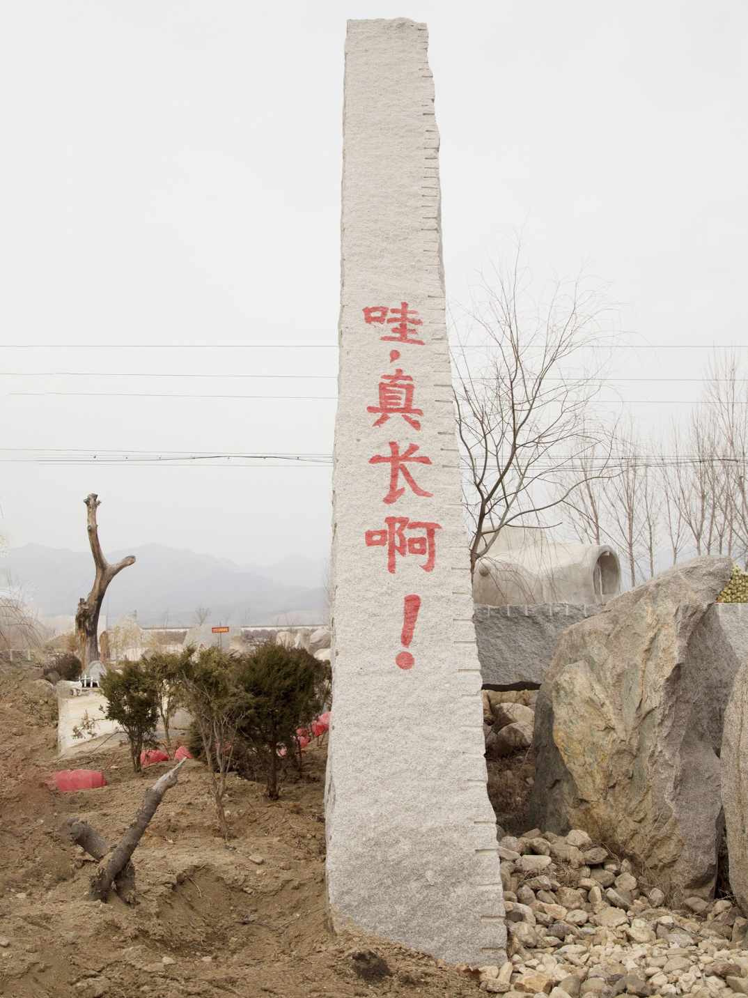 IMG_1678.PNG