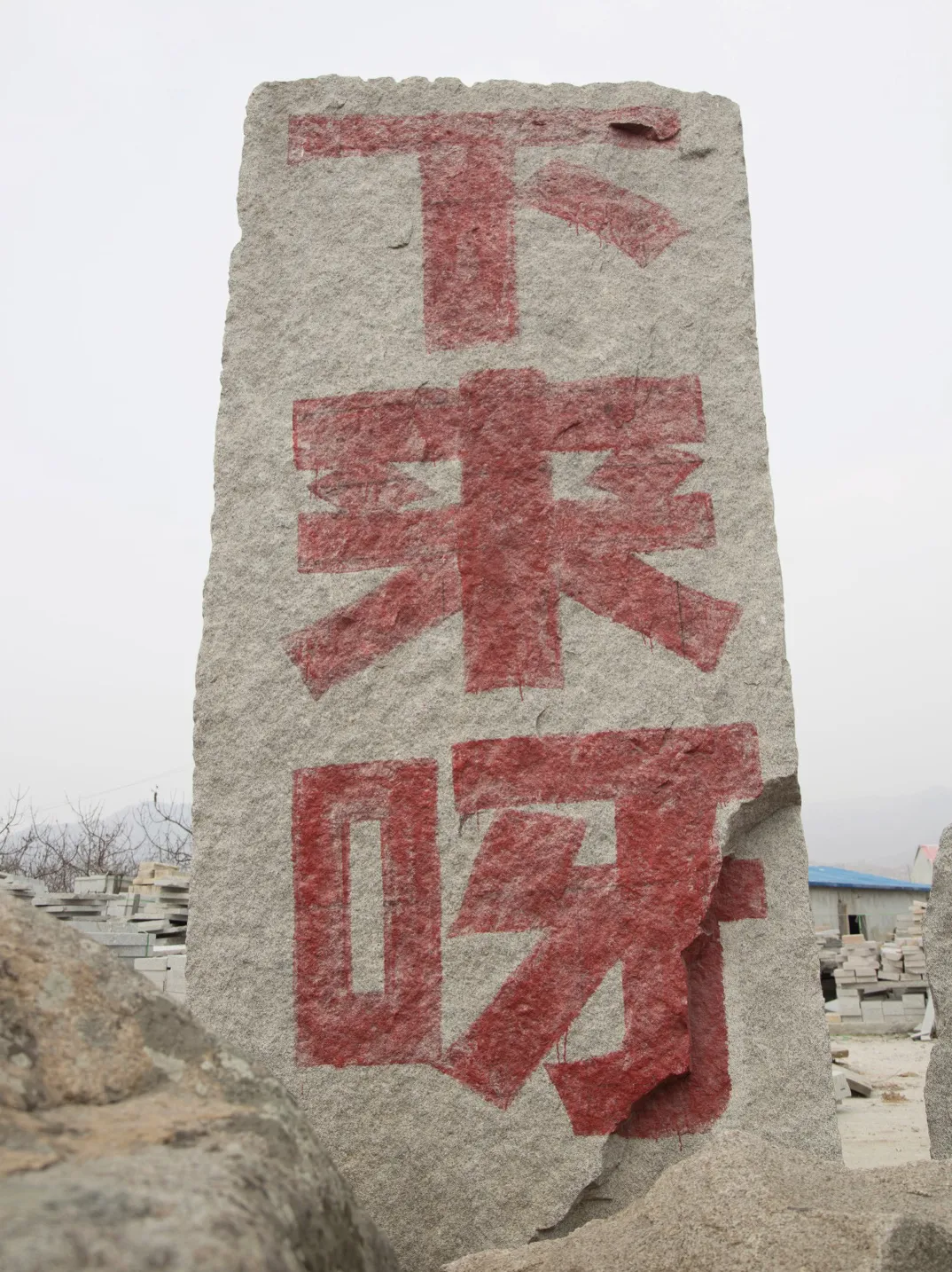 77.jpg