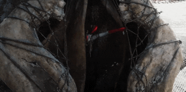 IMG_1446.GIF