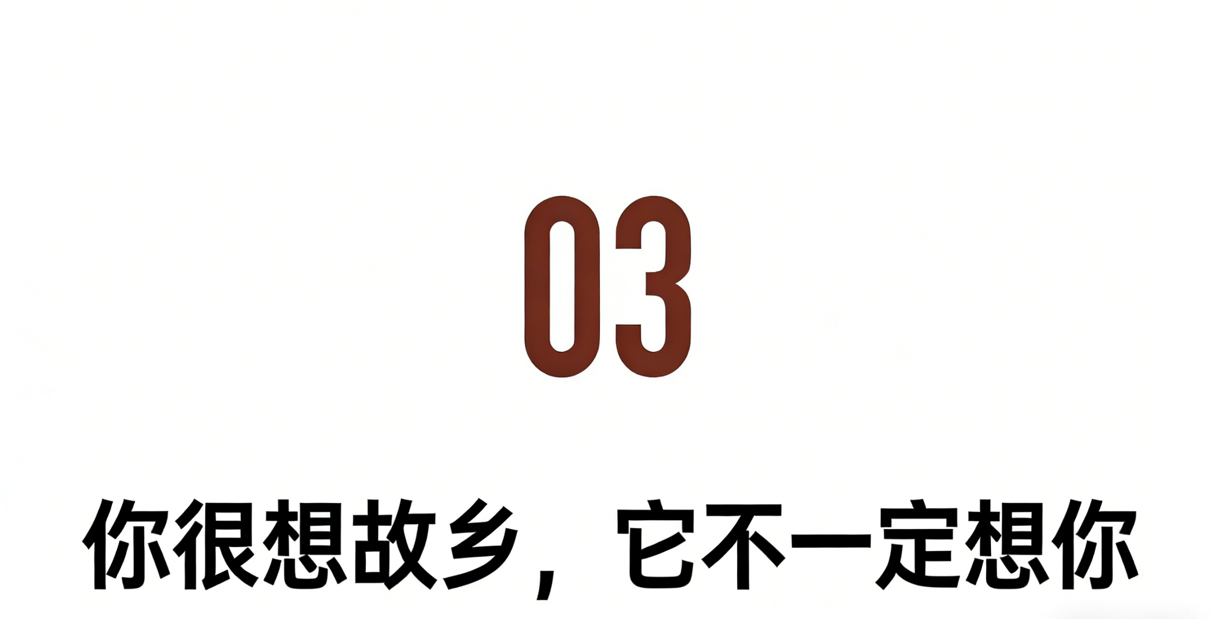 IMG_3049.PNG