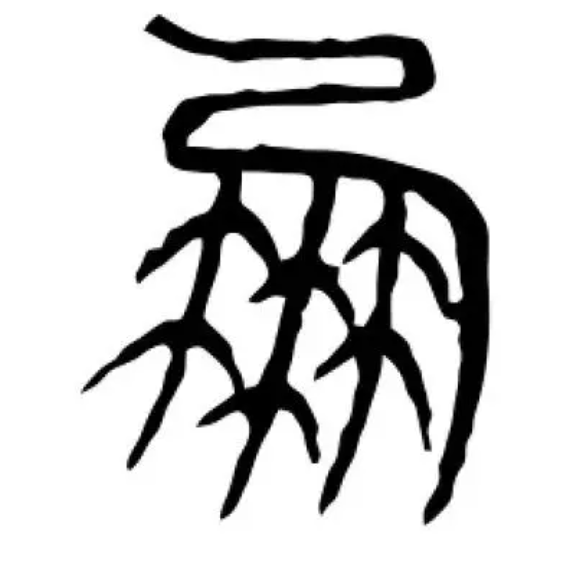 IMG_7549.PNG