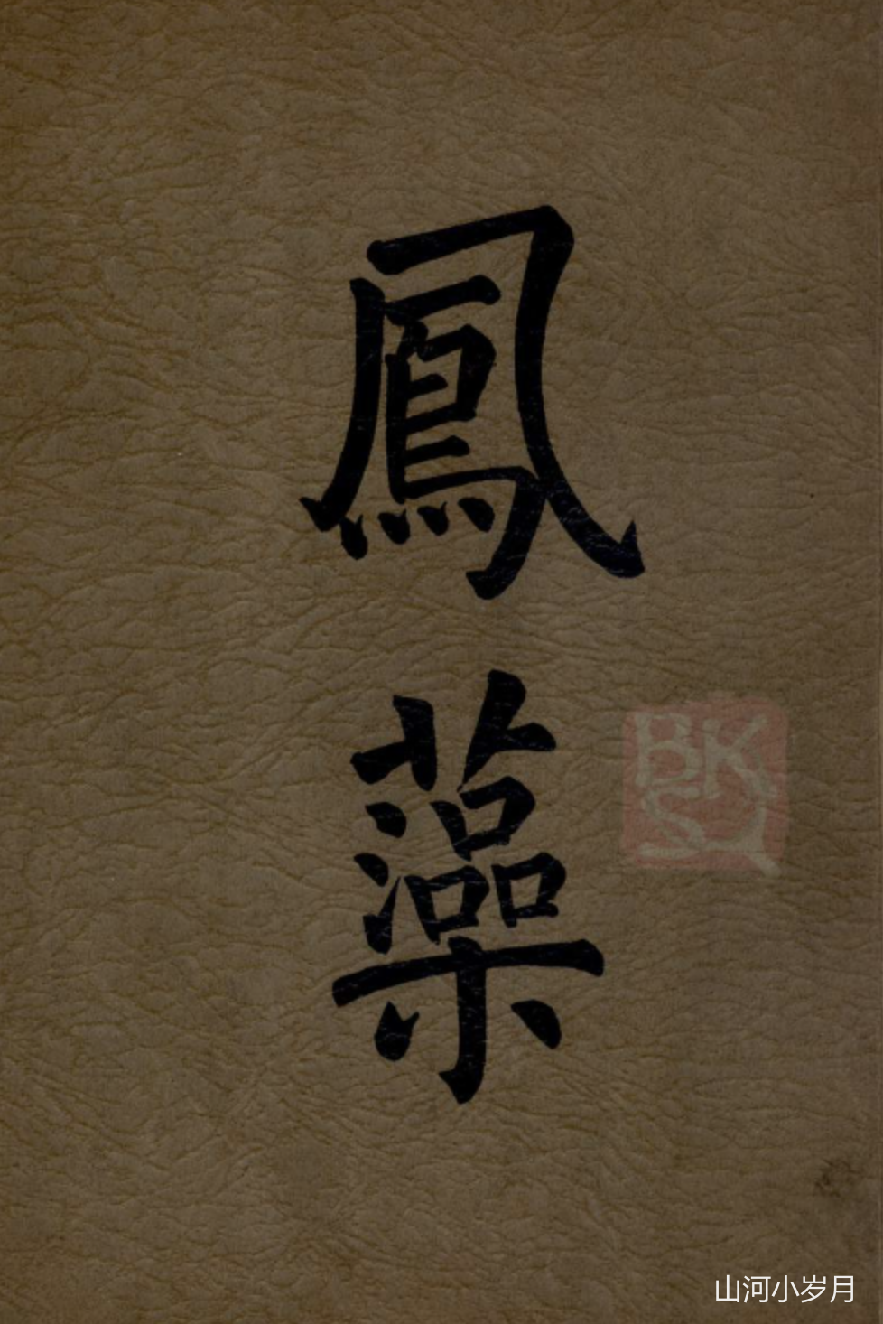 IMG_6116.PNG