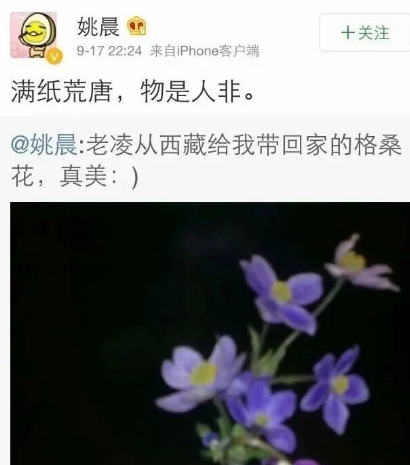 IMG_9055.PNG