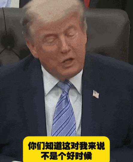 IMG_4025.GIF
