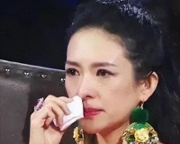 离婚不到两年，章子怡再官宣喜讯，成为汪峰高攀不起的存在