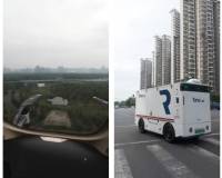 美记者：在中国农村，看到无人驾驶卡车给牛让路…