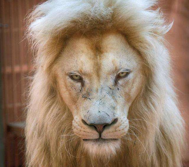 7661723E-F682-4E31-BBFC-5D510670F0AE.jpeg