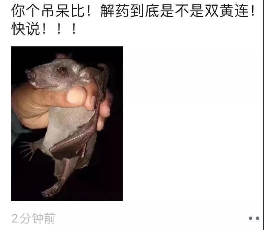 E67F13AA-675C-4016-ABDC-9D2783CDF275.jpeg