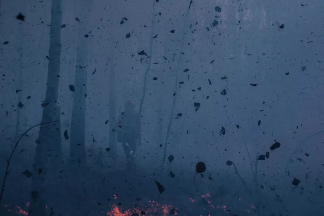 3.jpeg