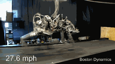 1F032020-8C7A-48D4-82F0-981BFAA50DF4.gif