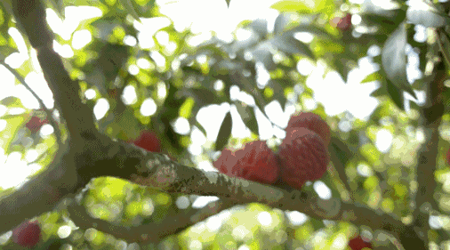 IMG_0348.GIF