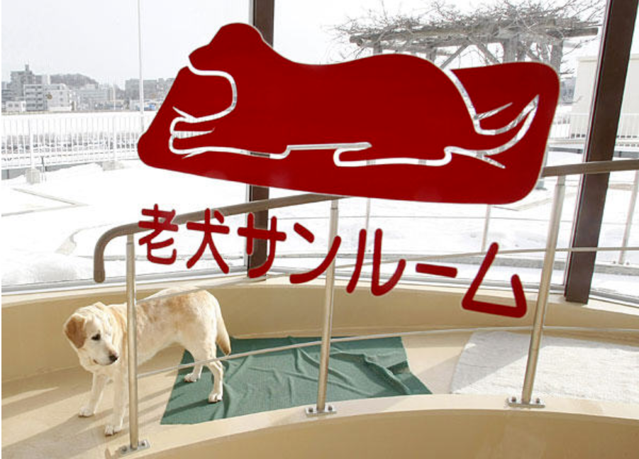 IMG_7694.PNG