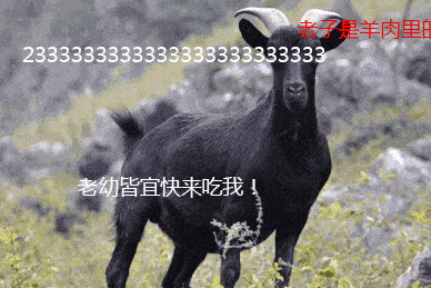 IMG_4689.GIF