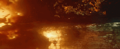 IMG_9684.GIF