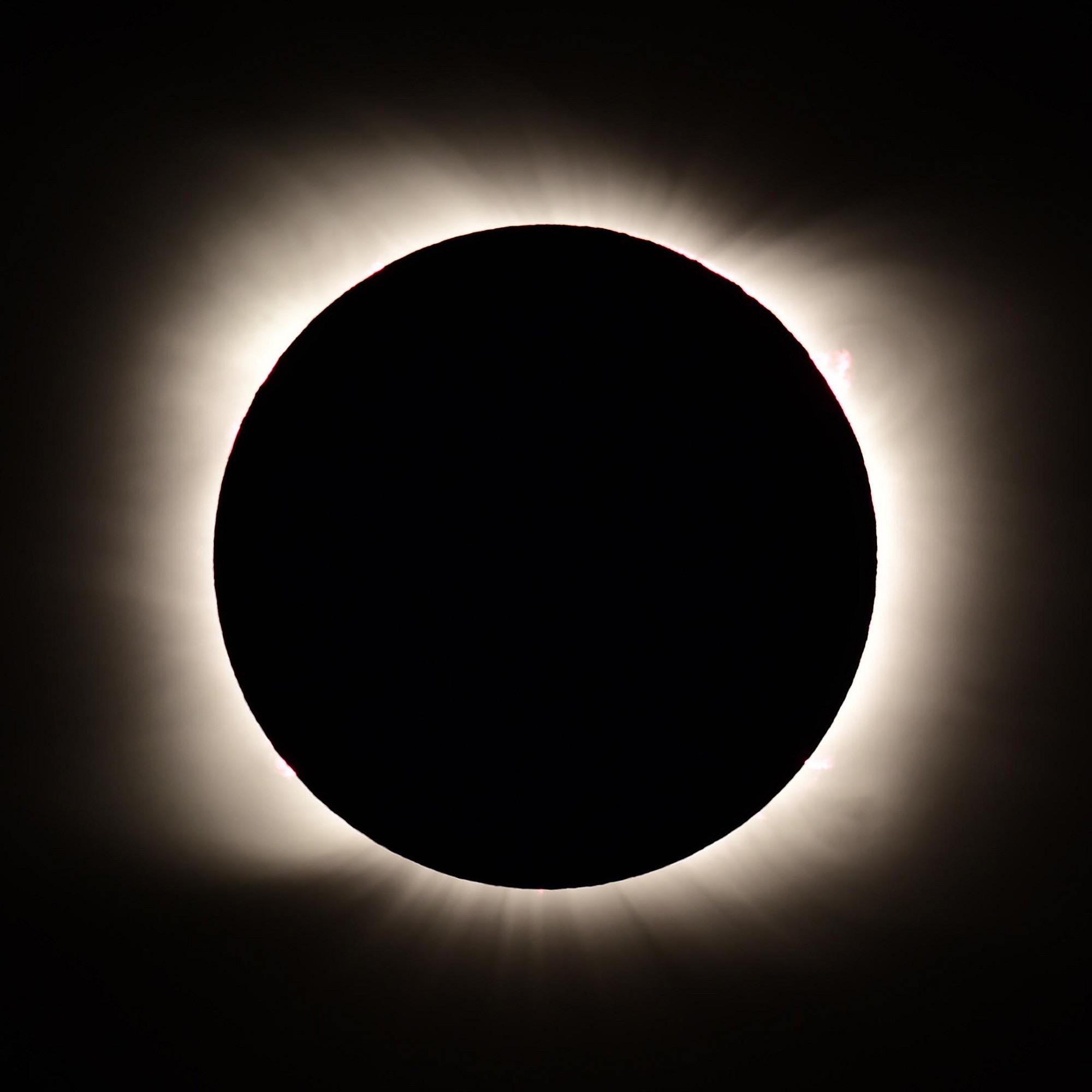 E553927B-F851-410A-B407-3BF526AB8B6B.jpeg