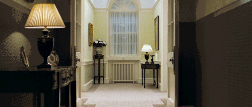 IMG_1352.GIF