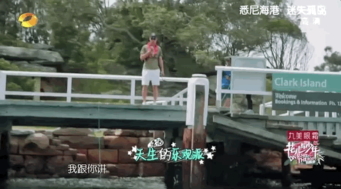 IMG_2864.GIF