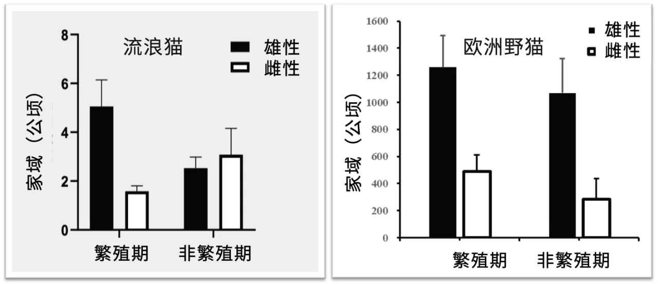 IMG_5238.PNG