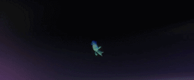 IMG_5664.GIF