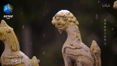 IMG_5619.GIF