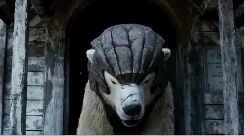 IMG_7351.GIF