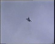 IMG_9284.GIF