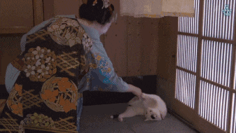 IMG_4346.GIF