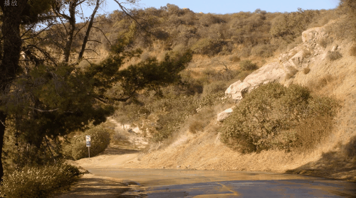 IMG_4946.GIF