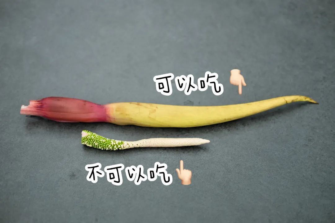 19.jpeg