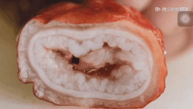 28.gif 28.gif