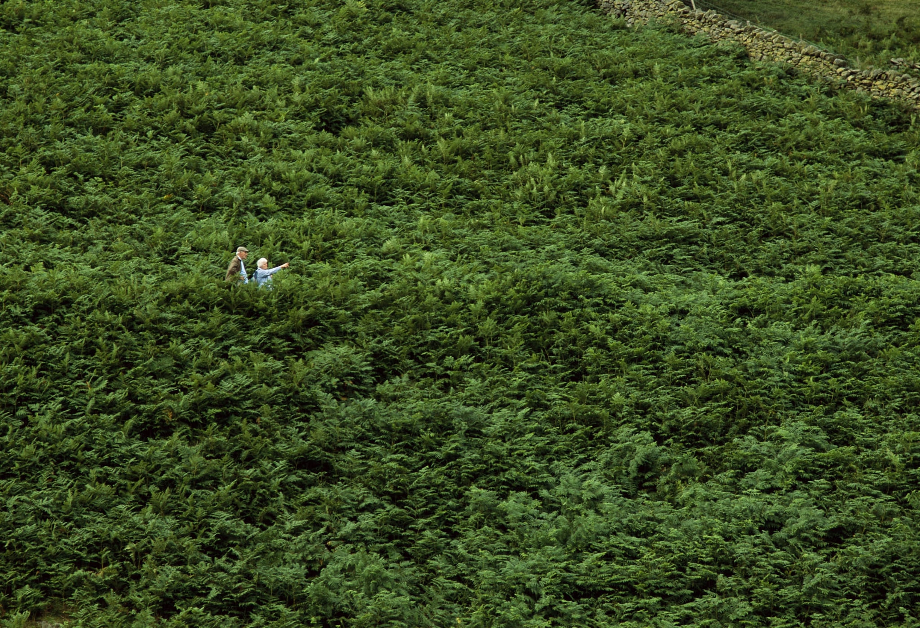 POD-16-05-2021_NationalGeographic_492255.jpg