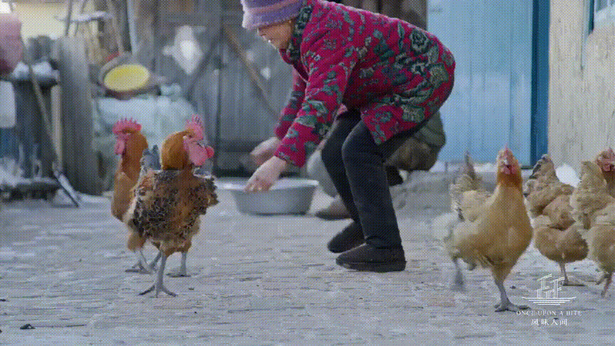 3.gif