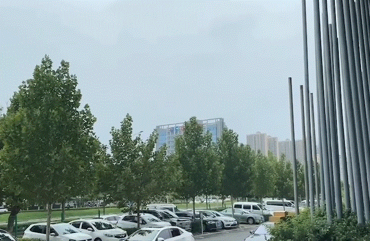 IMG_4751.GIF