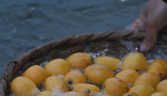 IMG_7640.GIF