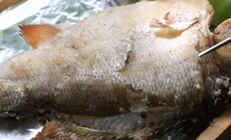 IMG_7642.GIF