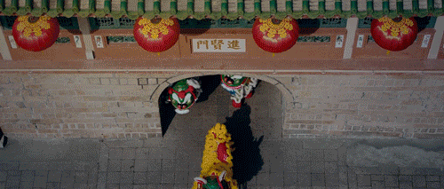 IMG_8769.GIF