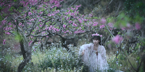 IMG_9108.GIF