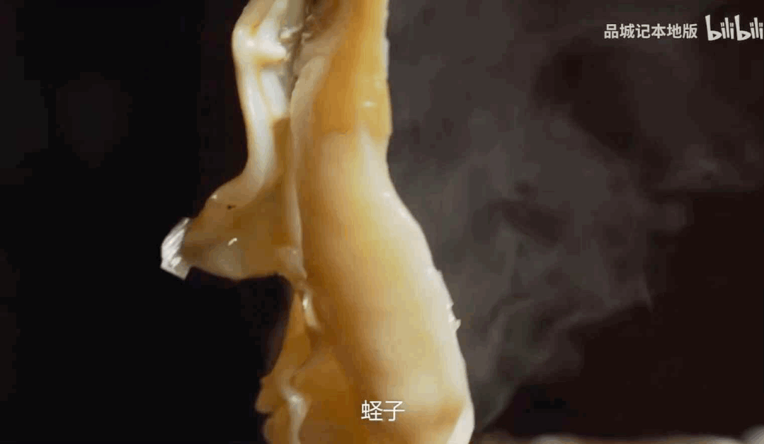 IMG_0547.GIF
