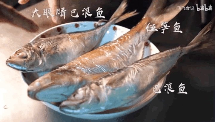 IMG_0551.GIF