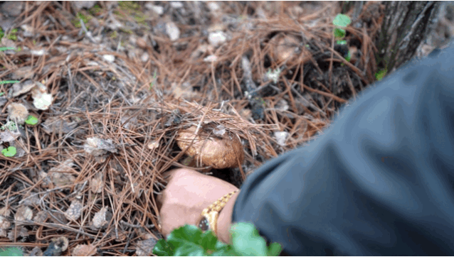 IMG_8389.GIF