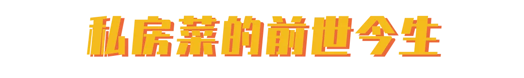 IMG_1086.PNG