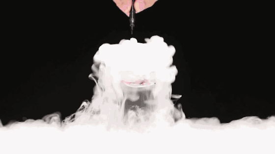 IMG_1093.GIF