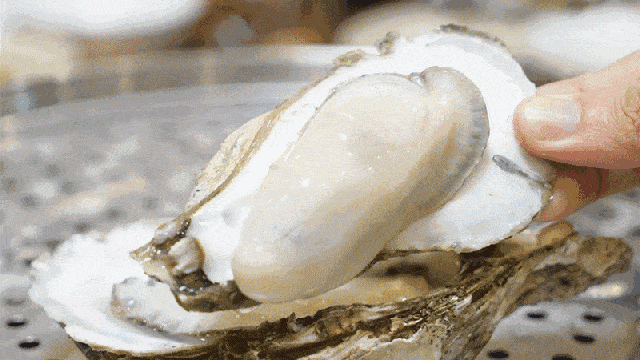 IMG_8611.GIF