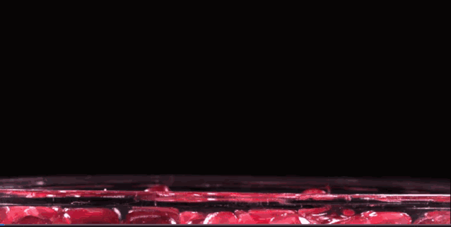 IMG_0043.GIF