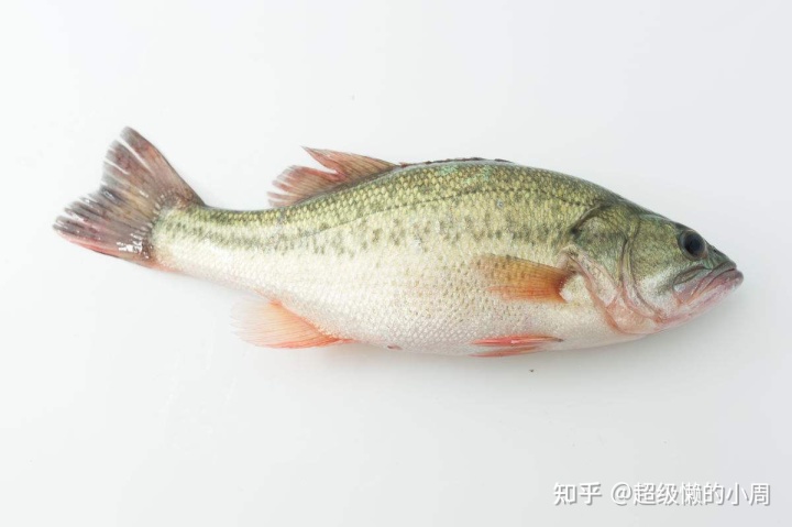 19.jpg 19.jpg