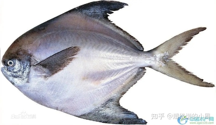 33.jpg 33.jpg