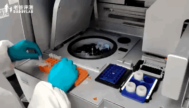8.gif 8.gif