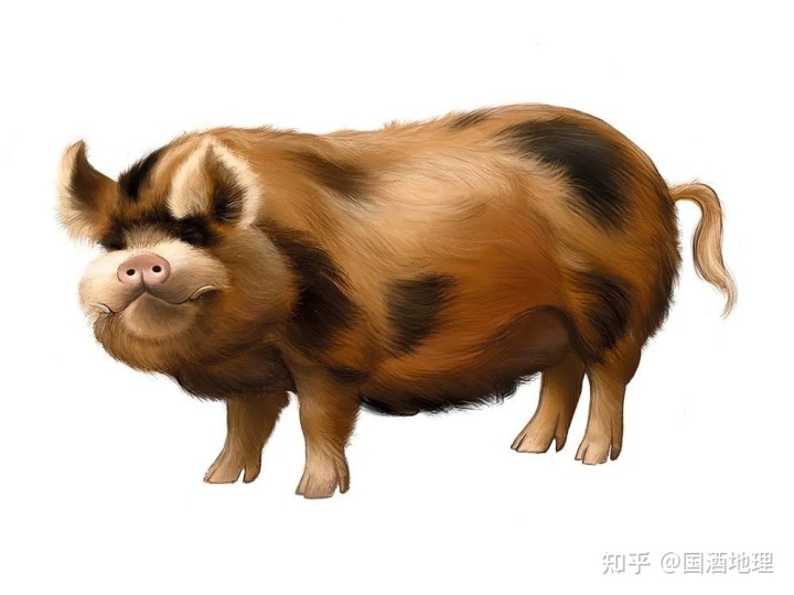 18.jpg 18.jpg