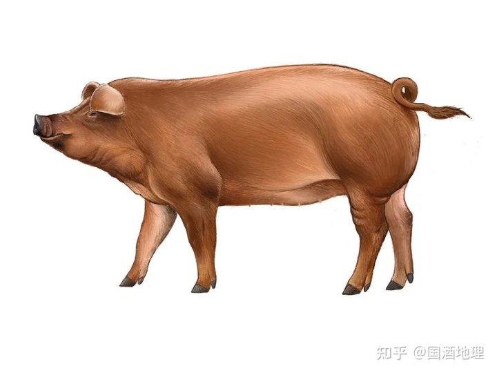 16.jpg 16.jpg